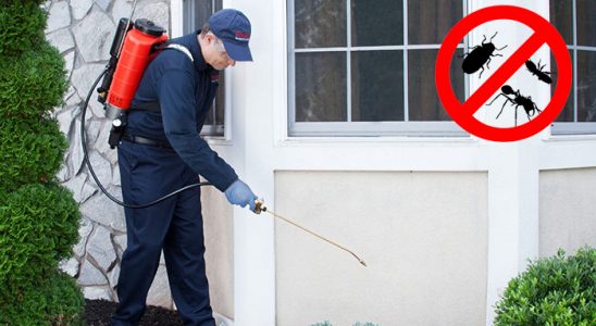 Karahallı Karınca İlaçlama böcek ilaçlama ve haşere kontrolü — ilaclama-tr.com